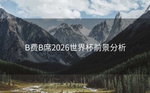 B费B席2026世界杯前景分析