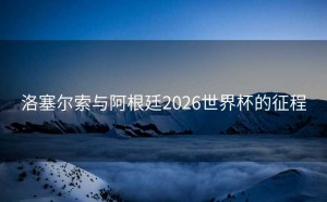 洛塞尔索与阿根廷2026世界杯的征程