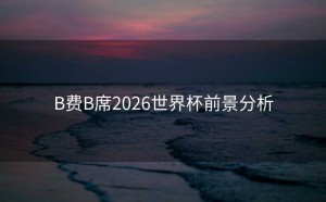 B费B席2026世界杯前景分析