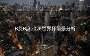 B费B席2026世界杯前景分析