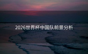 2026世界杯中国队前景分析