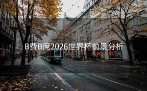 B费B席2026世界杯前景分析