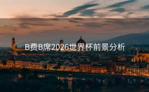 B费B席2026世界杯前景分析