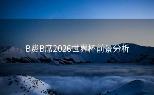 B费B席2026世界杯前景分析