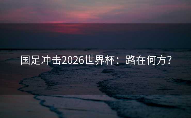 国足冲击2026世界杯:路在何方? 国足冲击2026世界杯:路在何方?