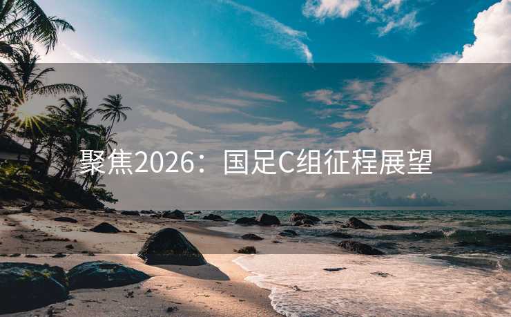 聚焦2026：国足C组征程展望