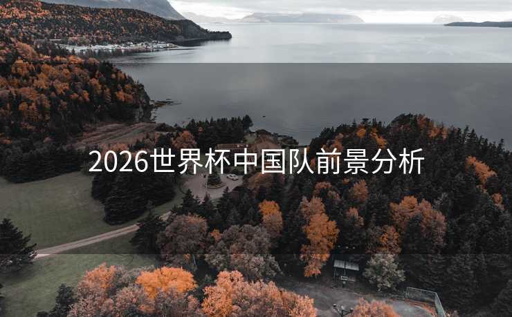 2026世界杯中国队前景分析