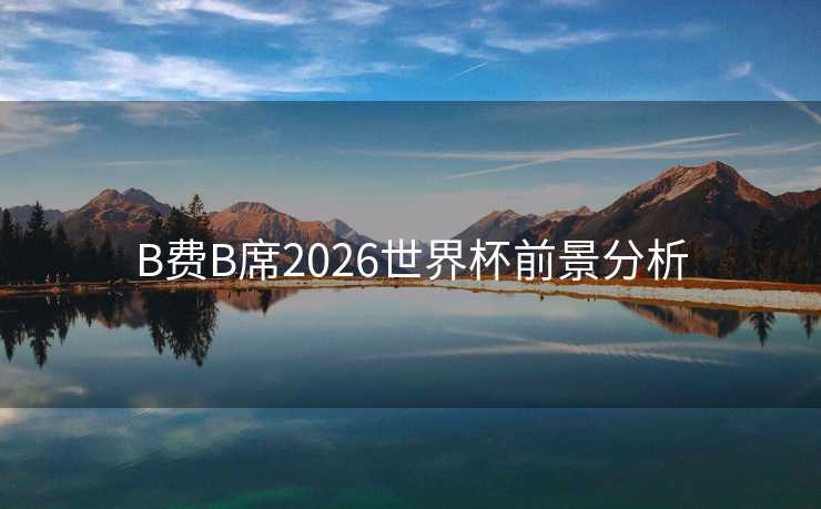 B费B席2026世界杯前景分析