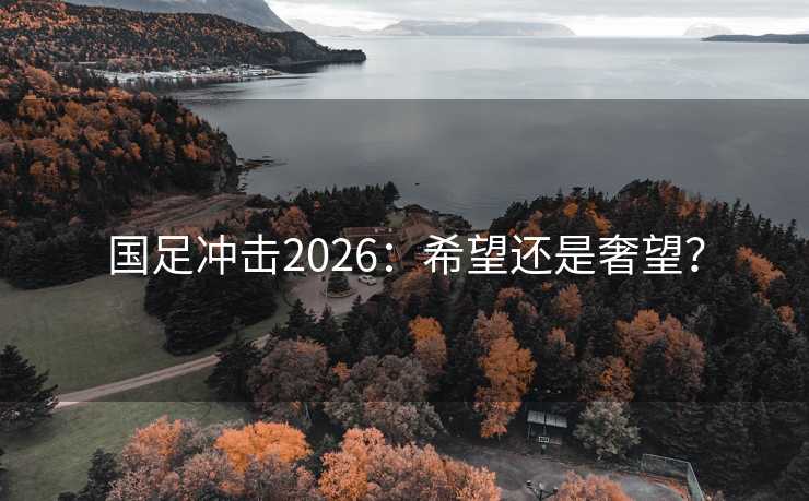 国足冲击2026：希望还是奢望？