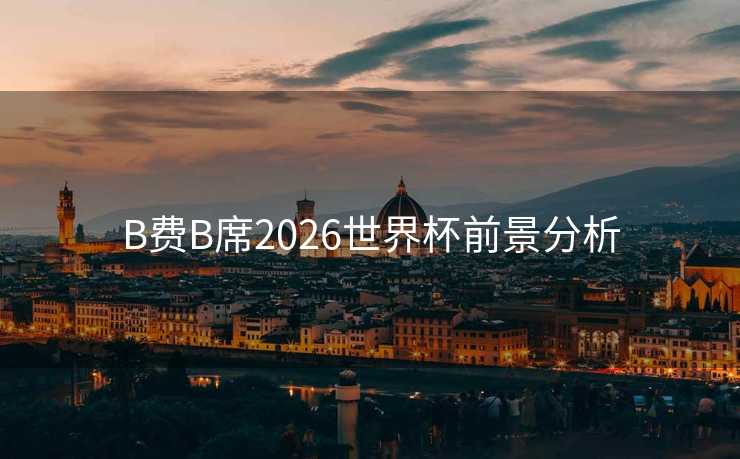 B费B席2026世界杯前景分析