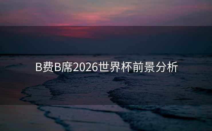 B费B席2026世界杯前景分析