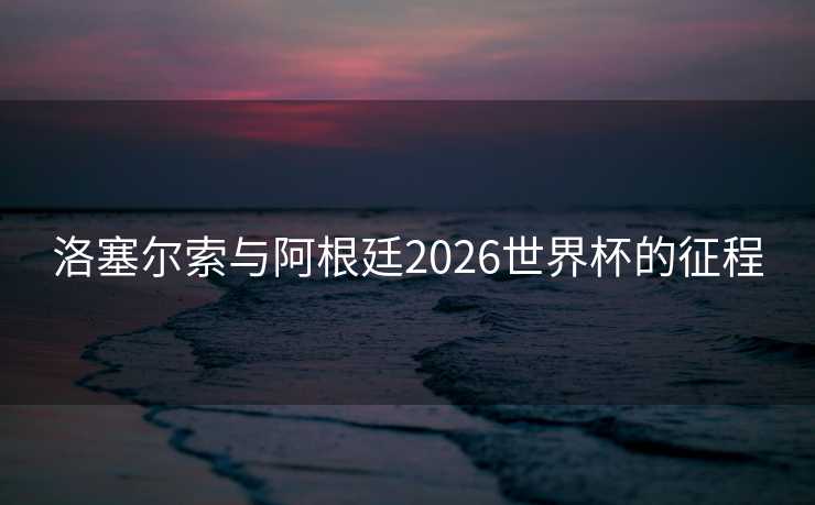 洛塞尔索与阿根廷2026世界杯的征程
