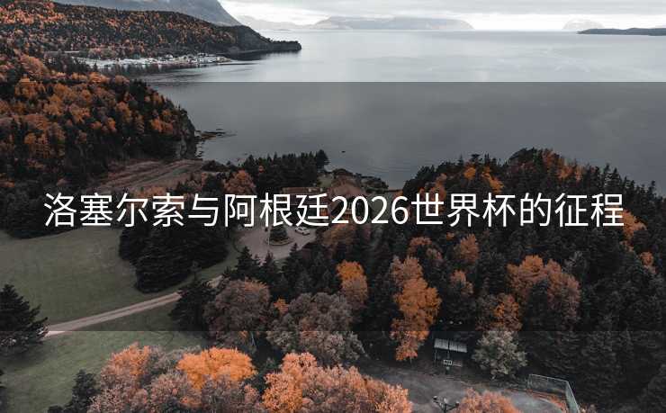 洛塞尔索与阿根廷2026世界杯的征程
